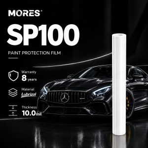 SP100